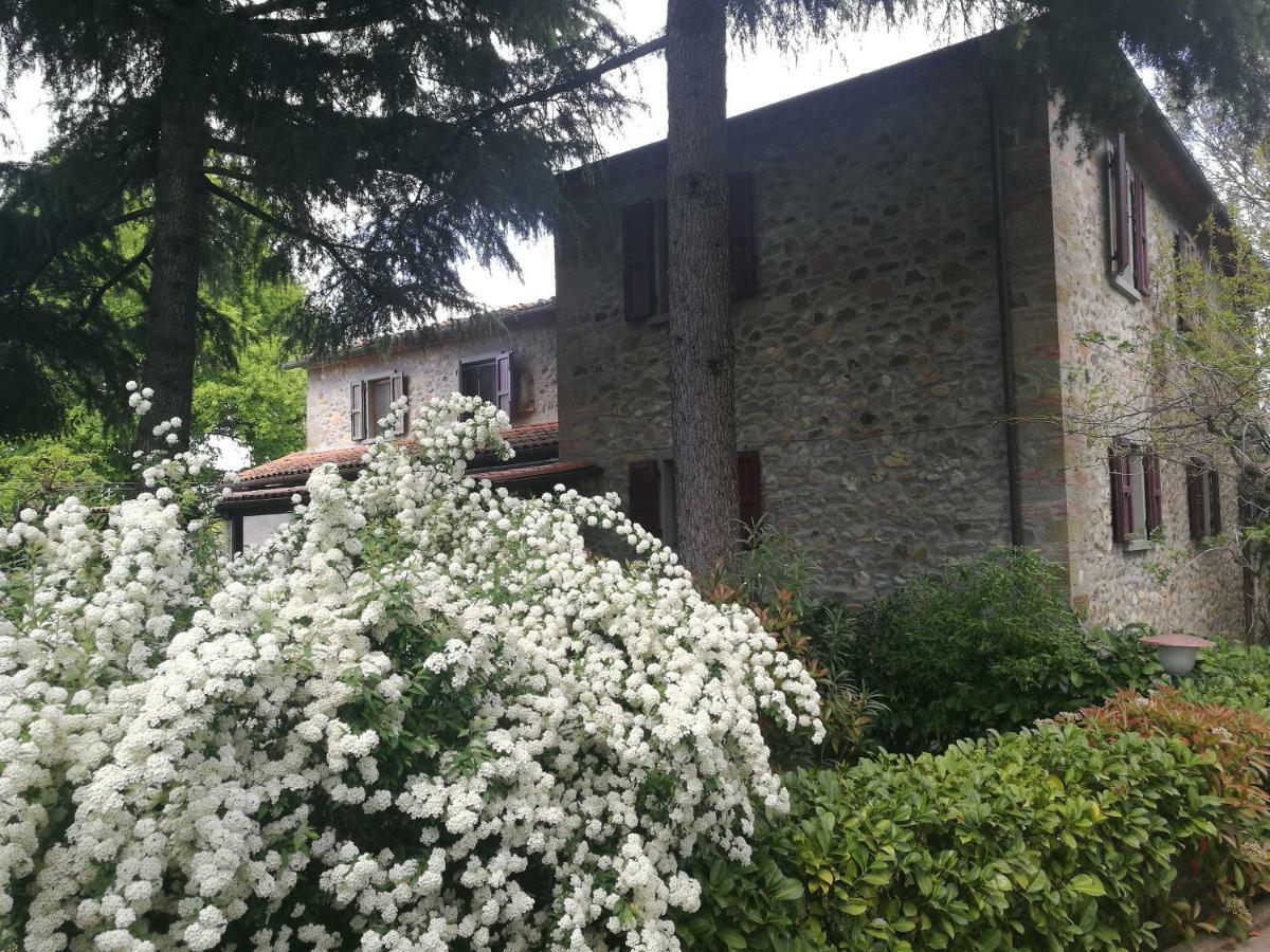 Villa Tacco Quarata 外观 照片